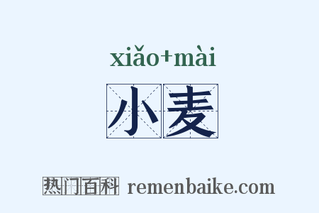小麦是什么意思的图片